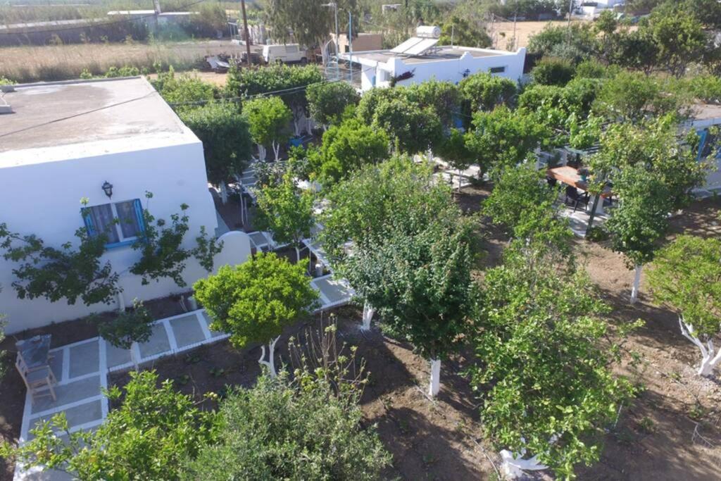 Perivoli 4-Chora Apartment Agkidia Exterior photo